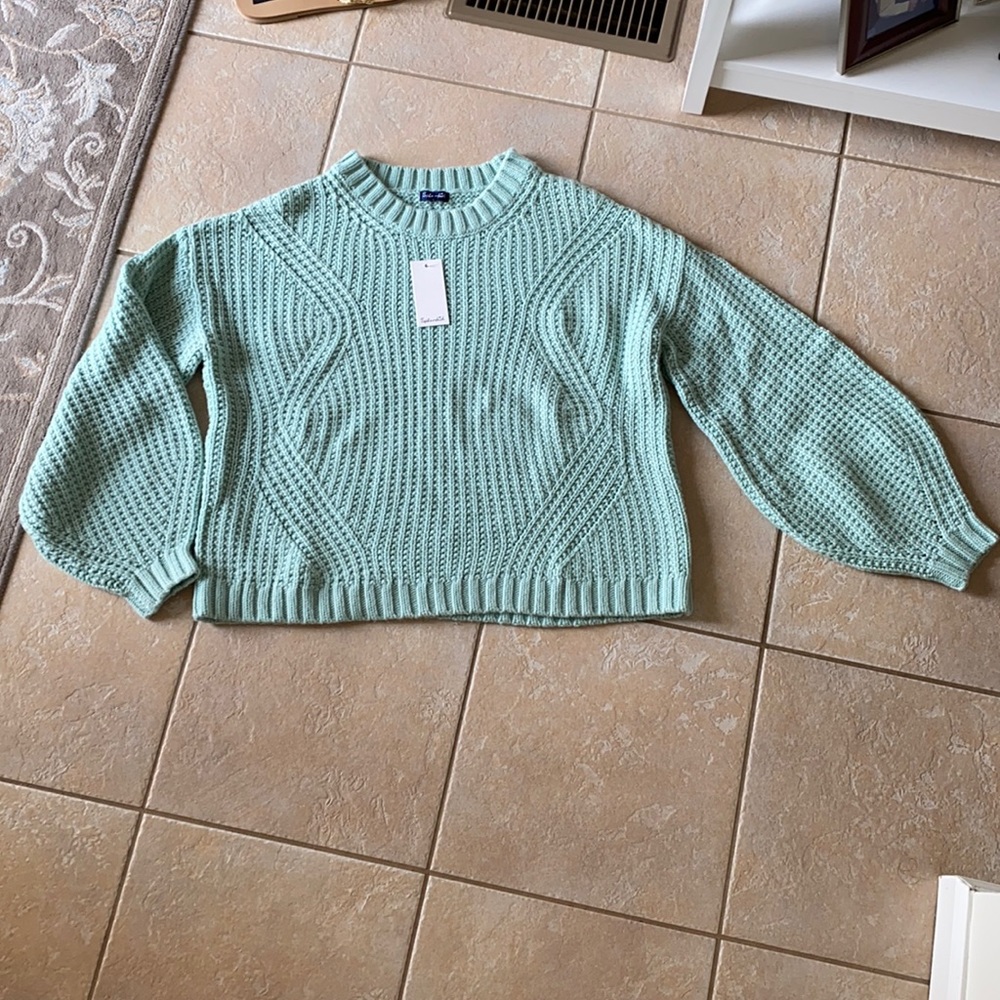 Splendid mint green chunky sweater